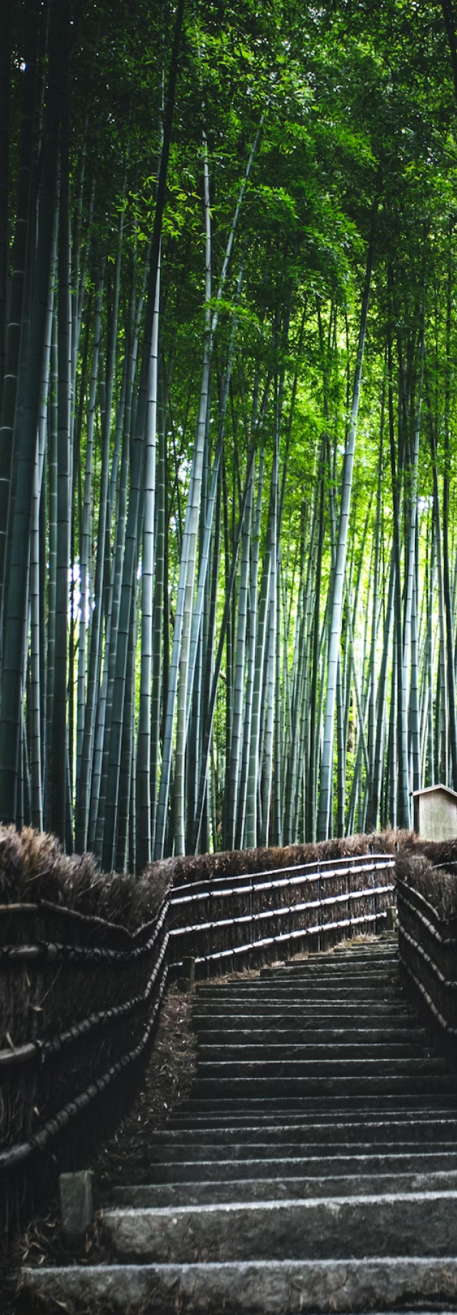 GEO KYOTO